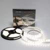 Светодиодная лента Class Premium, 5050, 120 led/m, Day White, 24V, IP65, А12