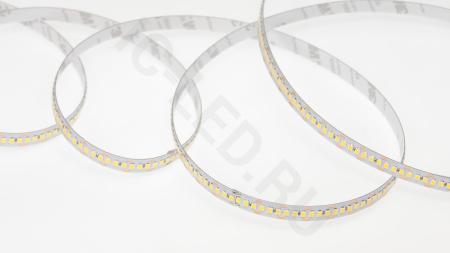 Светодиодная лента Class Premium, 2835, 240 led/m, однорядная, day white, 12V, 24W/m, IP20, A70