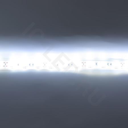 Светодиодная лента Standart PRO class, 5050, 60led/m, White, 12V, IP68 
