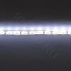 Светодиодная лента Standart PRO class, 3528, 60 led/m, White, 12V, IP65 