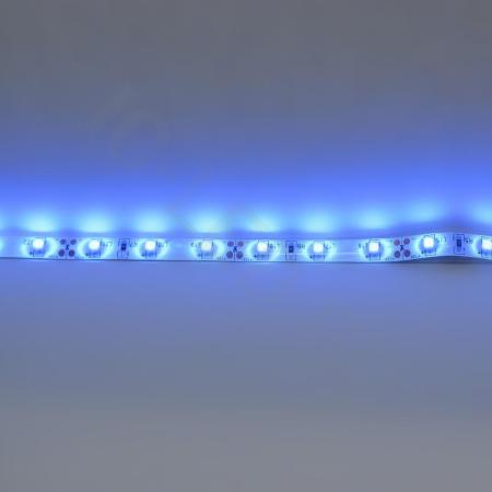 Светодиодная лента Standart PRO class, 3528, 60 led/m, Blue, 12V, IP65 