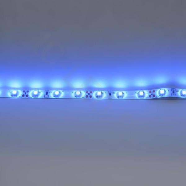 Светодиодная лента Standart PRO class, 3528, 60 led/m, Blue, 12V, IP65 