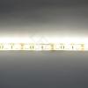 Светодиодная лента Standart class, 5050, 60led/m, Warm White, 12V, IP65 