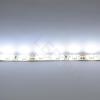 Светодиодная лента LUX class, 3528, 60 led/m, White,12V, IP65 