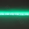 Светодиодная лента Standart class, 3528, 120led/m, Green, 12V, IP65 
