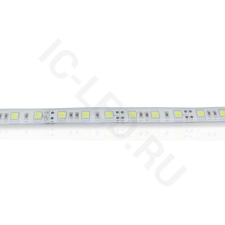 Светодиодная лента LUX class, 5050, 60 led/m, Cool White,24V,P622, IP68 