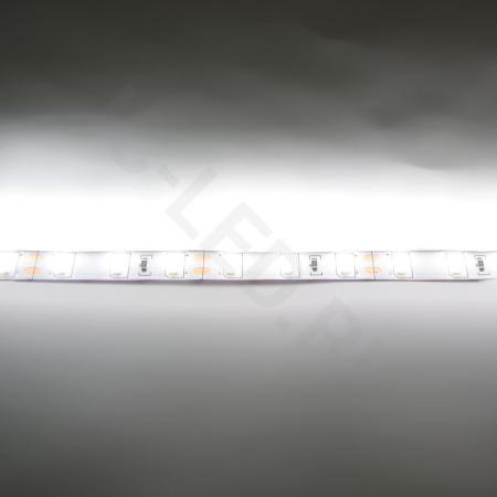 Светодиодная лента  Standart PRO class, 5630, 60led/m, day white, 12V, IP20, P306 