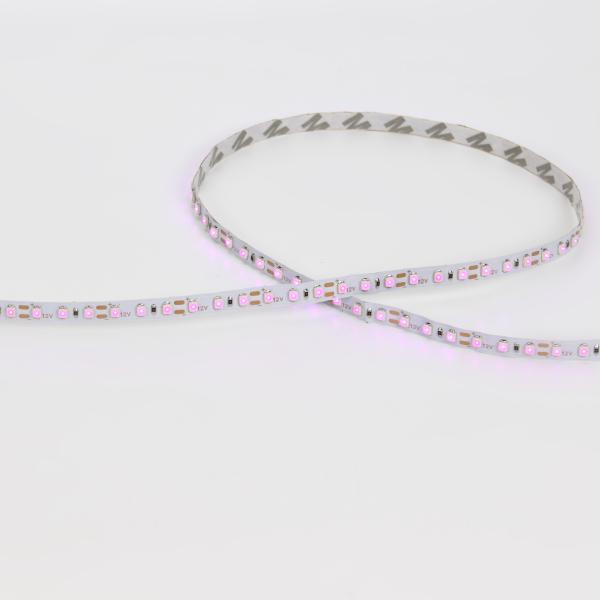 Светодиодная лента Standart PRO class, 3528, 120 led/m, Pink,12V, IP20, C100