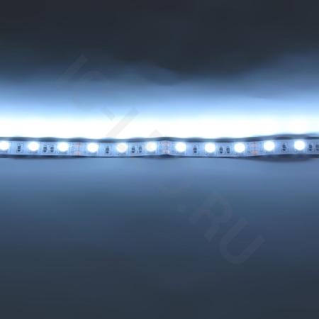 Светодиодная лента Standart class, 5050, 60led/m, White, 12V, IP20 